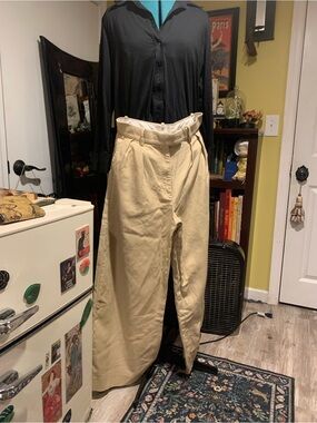 Banana Republic Tan Pleated Extra Wide Chino Pants